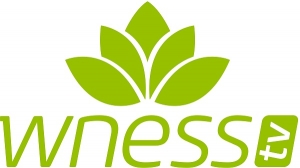 WNESSTV