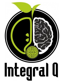Integral Q